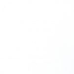 Бархат Беленый