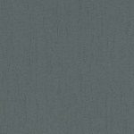 Клен темный