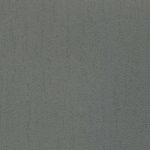 Клен теневой