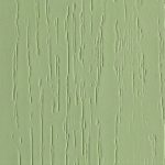 Оливковое дерево